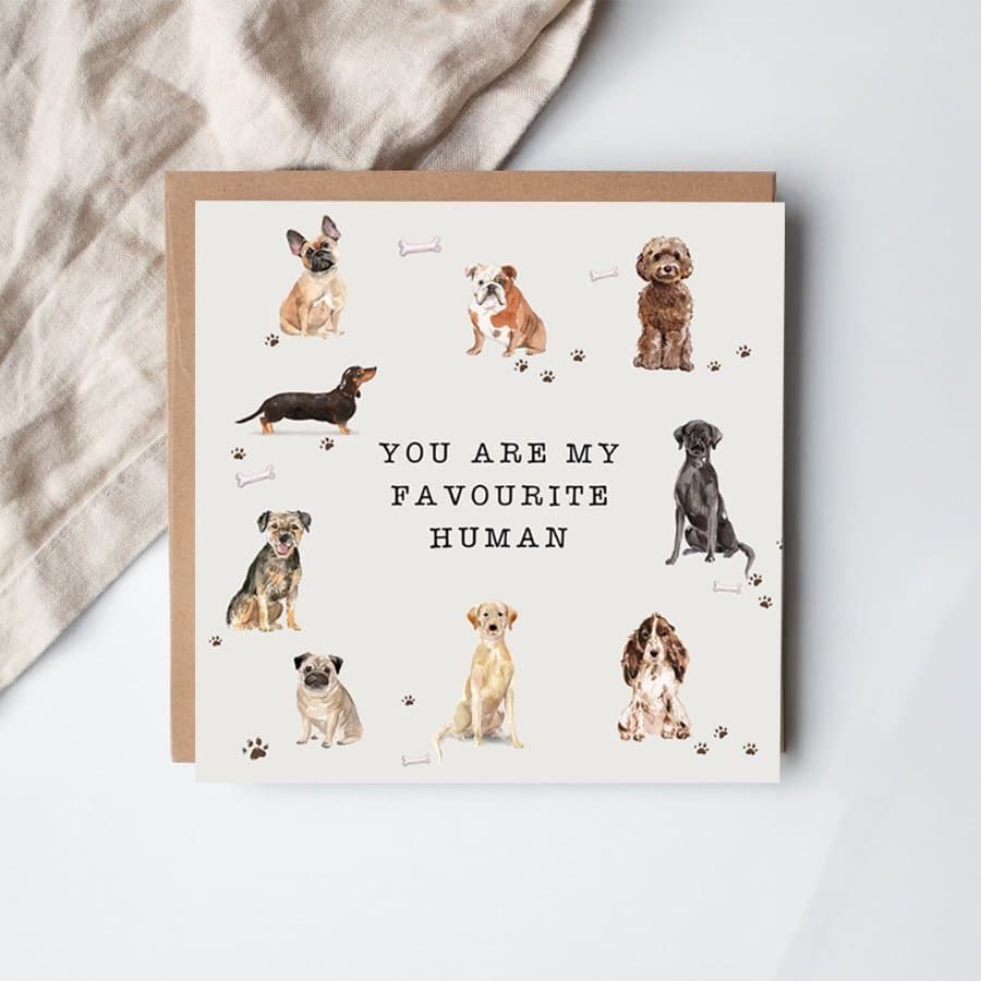 You are my favourite human greeting card, 15cm