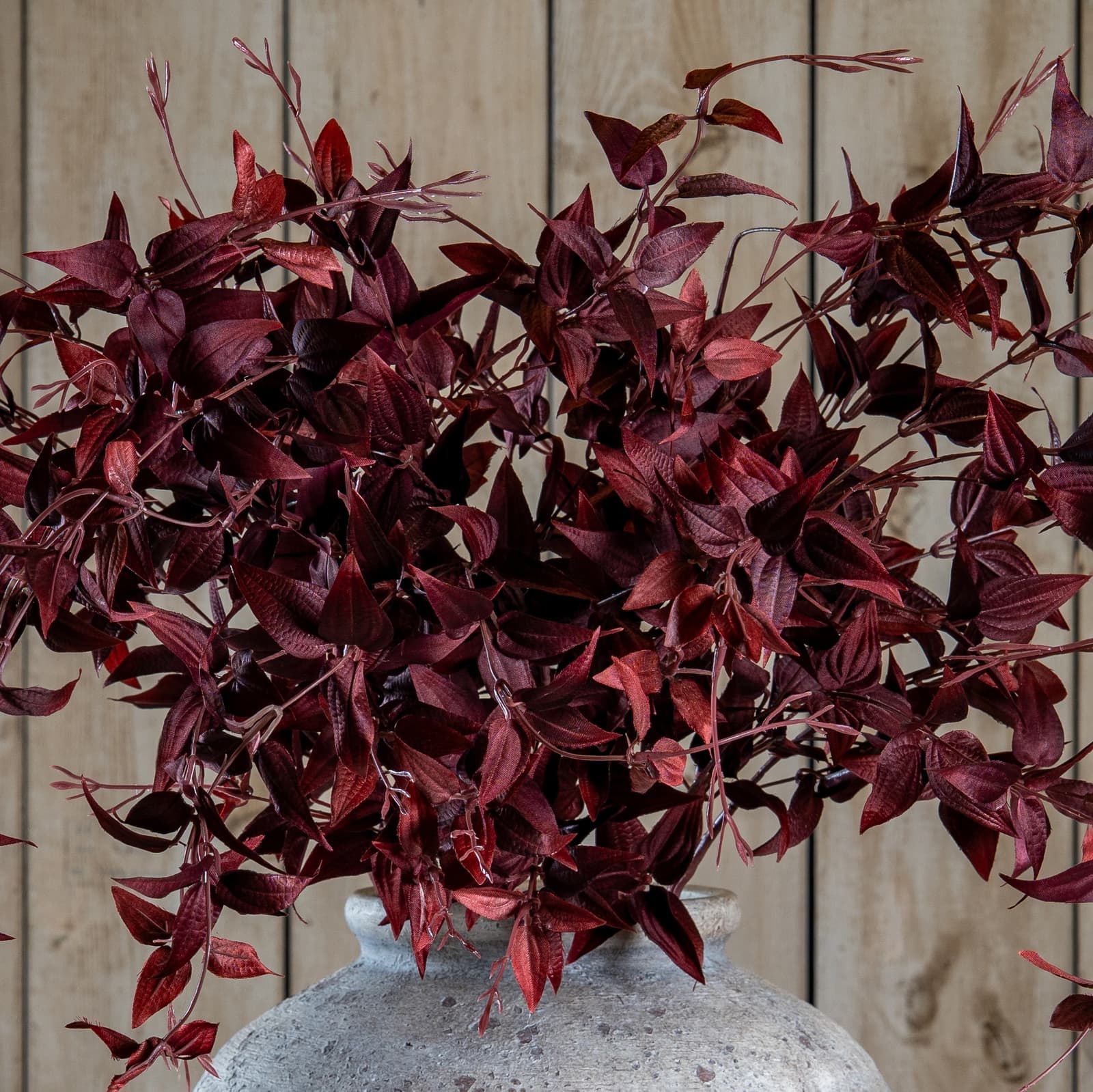 Burgundy ornamental leaf
