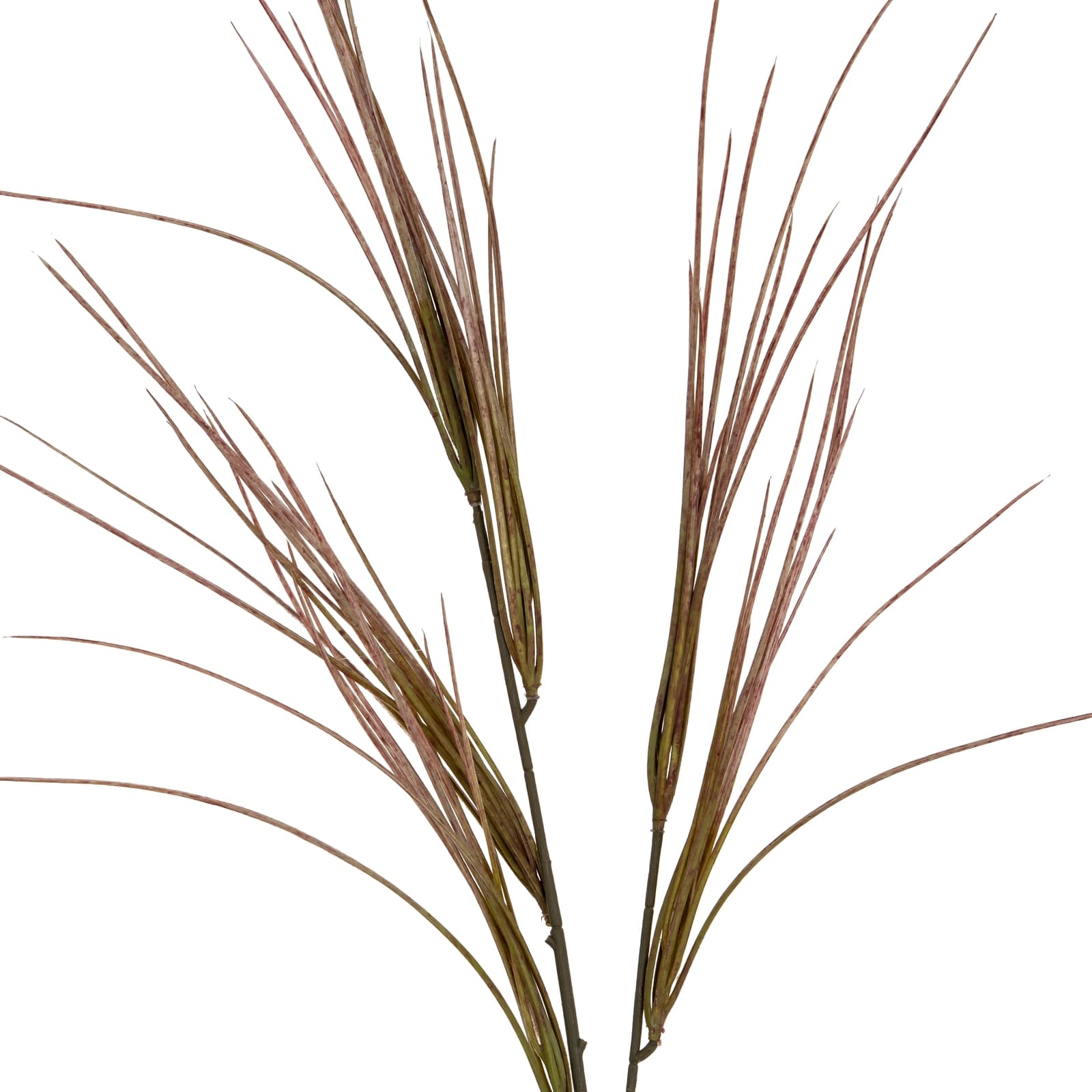 Brome Grass Spray